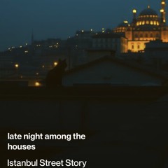 istanbul-there is a town 2.mp3