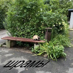 шрамы - Виолетта Соколова