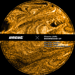 Chamo (AR) - PICKUP (Original Mix) (PREVIEW)