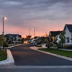 sprawl system_20220819