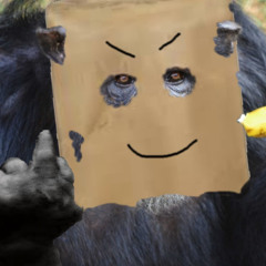 primate journey through forest clearing and find banana