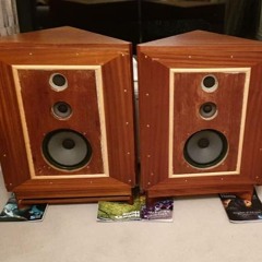 Speaker Shakers