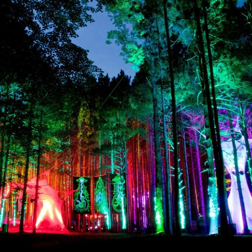 The awakening of the weird Forest