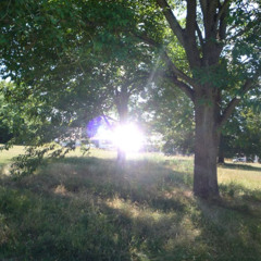 nyquil // demo [prod.me]