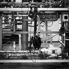 Buzzin! Fuerst Wiacek Collab Recording