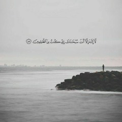 سورة الأنبياء - للقاريء أحمد عبدالرازق نصر.mp3
