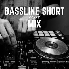 Bassline Short Mix 2023