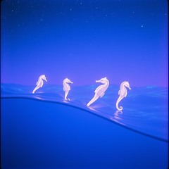 Sea Horses & Machine Elves (Simulation Breakers Remix 2)