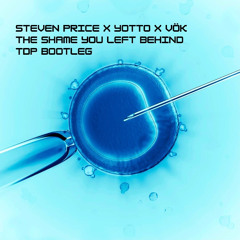 The Shame You Left Behind [TDP Bootleg] [FREE DL]