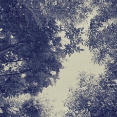 crossroads / i'm waiting