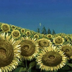 Dj Eco at Super, Aarhus - August 10 2024