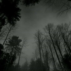 Rivers Broken Between (interlude) Prod. xx2pitty & surrenderedorothy