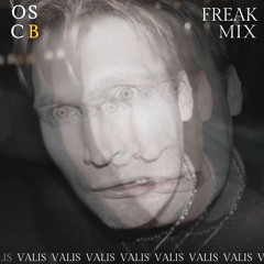 Freak Mix Vol. 1