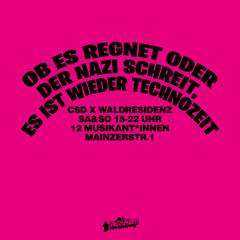 TIMOSCHINSKY @ CSD 2025 SAARBRÜCKEN WALDRESIDENZ