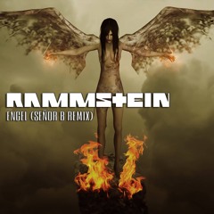 Rammstein - Engel (Señor B Remix)