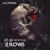 Artwork for 2 Flows