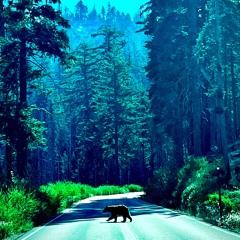 Dave - StreetStarz Freestyle (yon remix)