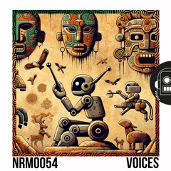 Voices (Original Mix)