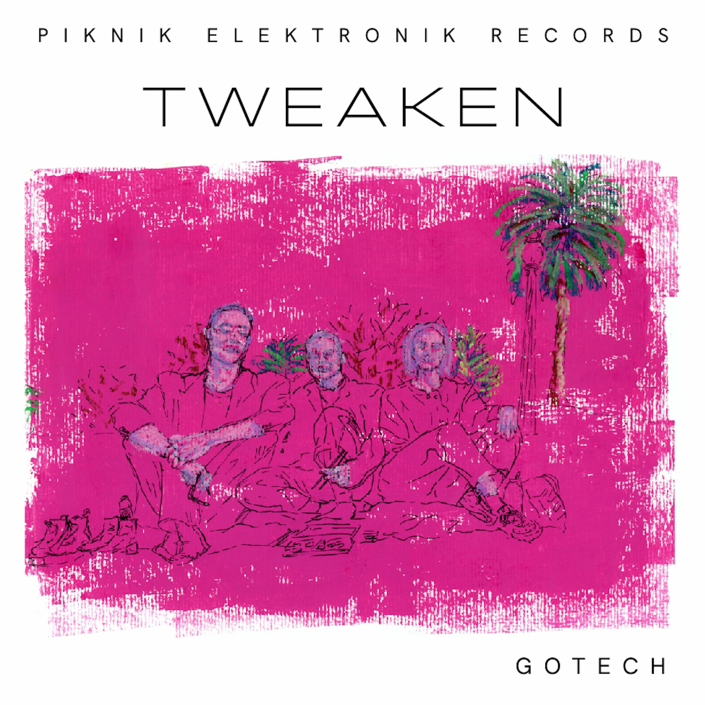 Piknik Elektronik Records