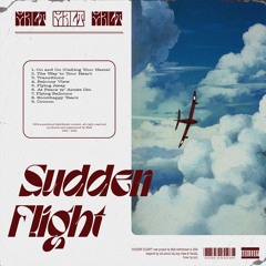 Sudden Flight