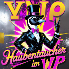 Shabab(e)s im VIP - Pashanim feat. Ceren [Haubentaucher-EDIT]