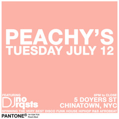 LIVE at Peachy's NYC JUL12 pt.5