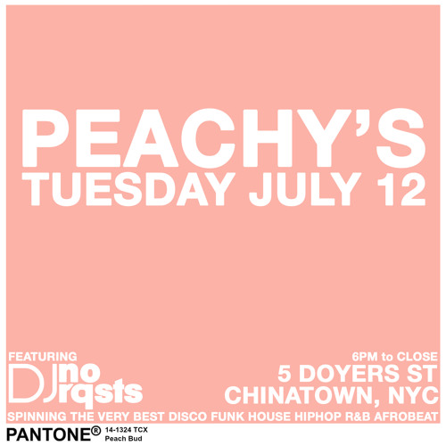 LIVE at Peachy's NYC JUL12 pt.7