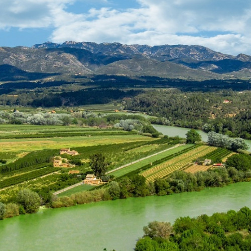 Sett Trance 90 Electronic Techno 146bpm