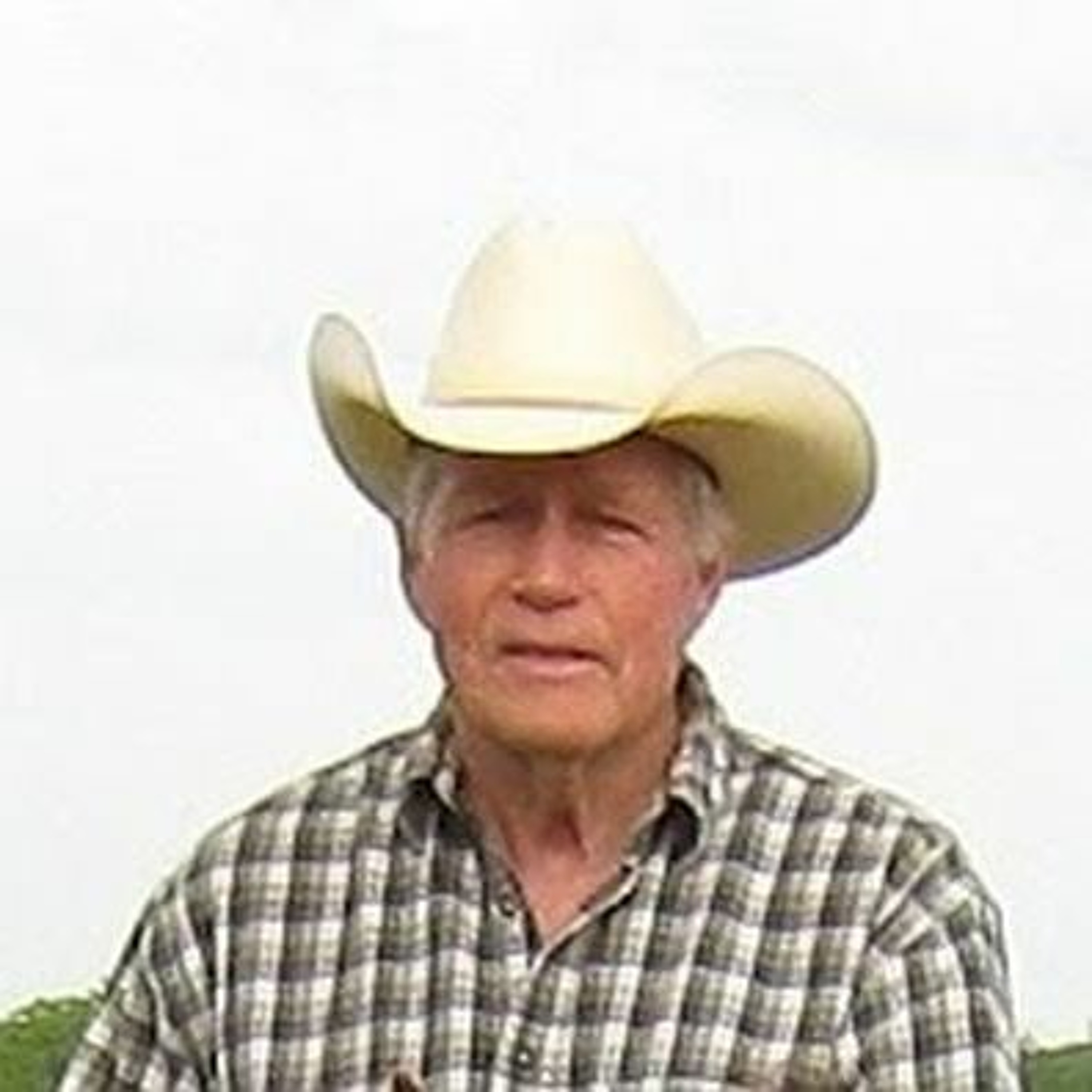 Grandpa's vision 2 Kingdom