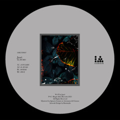 CF Premiere: Jauri - El Humo [Illegal Alien Records]