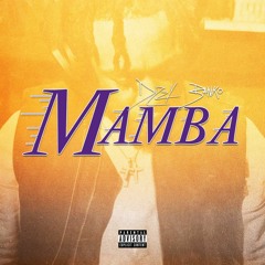 MAMBA FREESTYLE
