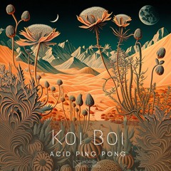 KOIBOI- ACID PINPONG (Out  now) Morion Records)