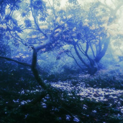 Atmosphere 3 (last)
