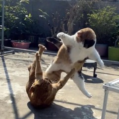 지구를 지켜라 save the earth (guide ver.)