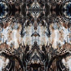 holunder - Morbus (FDL)