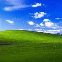 resting ft xan prod sladewyd