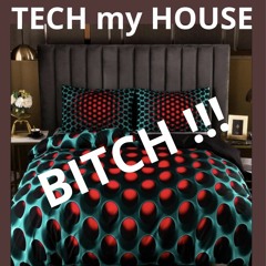 TechMyHouseBitch