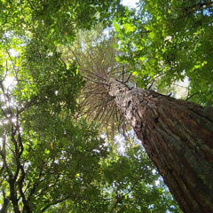 Slow Down (feat. Connected Underground)