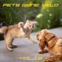 Pets Gone Wild Vol.18