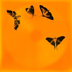 Oto Ninski - O Pindo