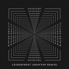 Leidenfrost (Kraysh Remix)
