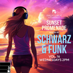 Schwarz & Funk - Sunset Promenade vol. 16