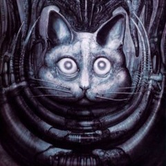 Alien Kitty