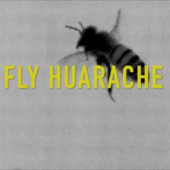 FLY HUARACHE 🐝