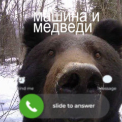 машина и медведи