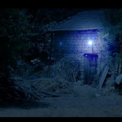 ONE NIGHT IN THE CABIN