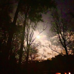 Things Lost, Things Neglected