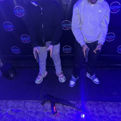 HB - SNAKED IN WIT THE SNAKES