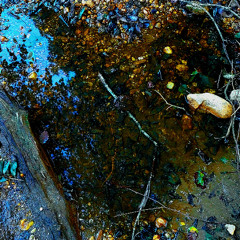 Don't stop X team X you got it