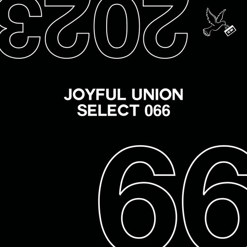 Joyful Union Select 066